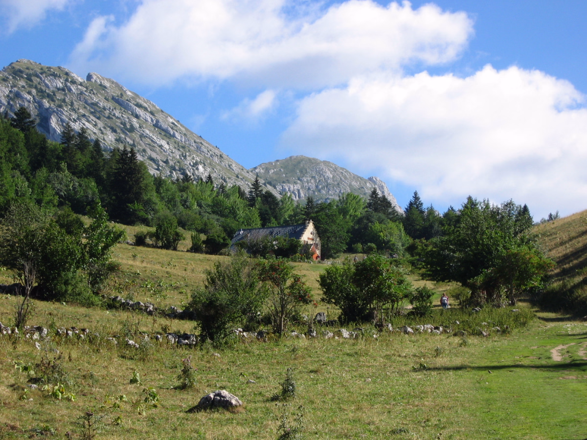 Week-end yoga et randonnée dans le Vercors à Autrans