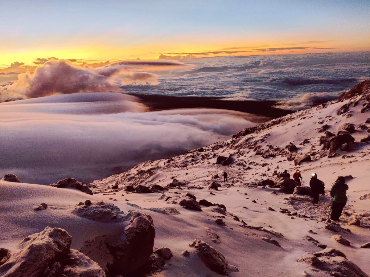 Trek - Le Kilimandjaro via la route Lemosho sur 8 jours