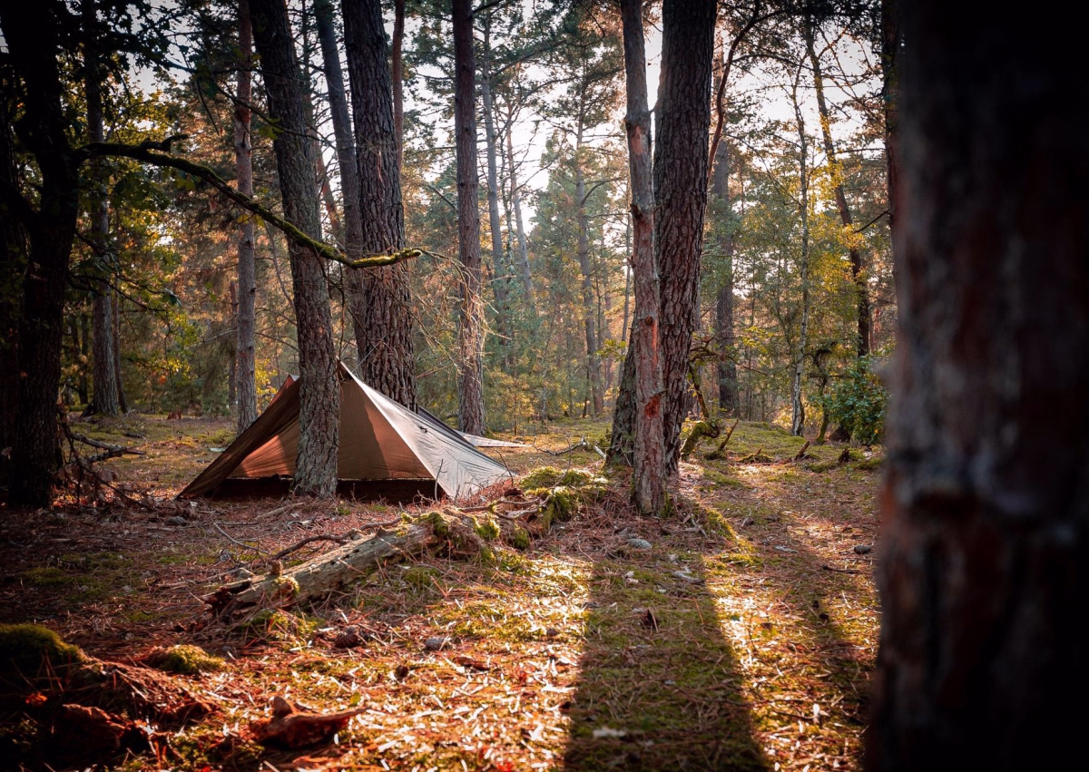 Week-end de bushcraft à 1h de Paris