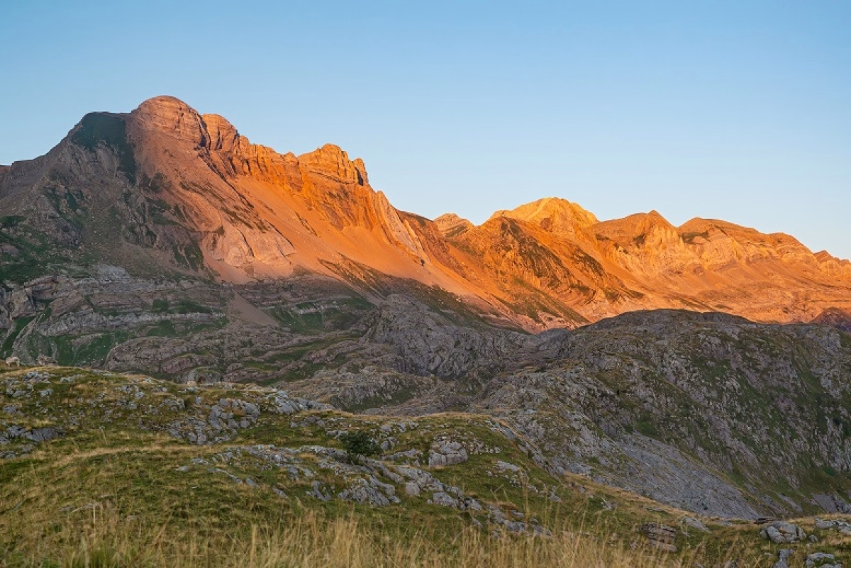 Haute vallée d'Aspe : randonnée sauvage et pastorale pyrénéenne