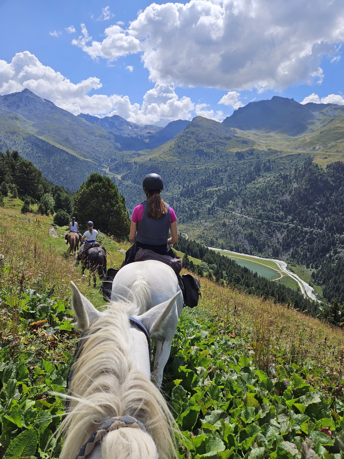 Voyage à cheval - Cheval et refuge : immersion sauvage en Vanoise depuis Méribel