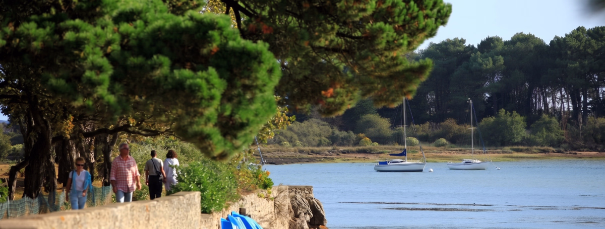 Balades dans le Golfe du Morbihan