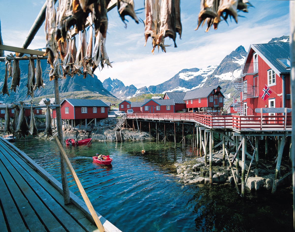 Randonnée boréale entre fjords et villages des Lofoten