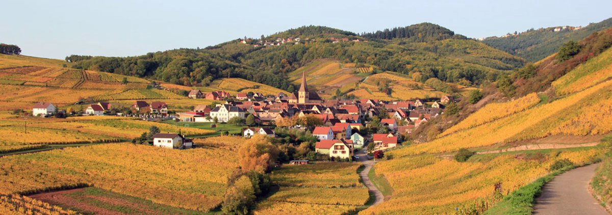 Séjour itinérant en randonnée de Colmar au Mont Sainte Odile