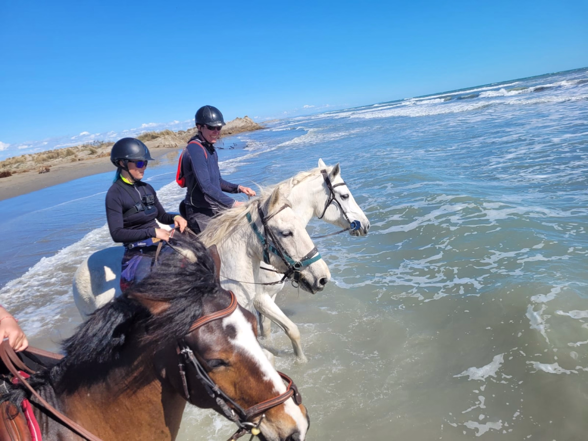 Voyage à cheval - Séjour à cheval en Camargue entre nature et grands espaces