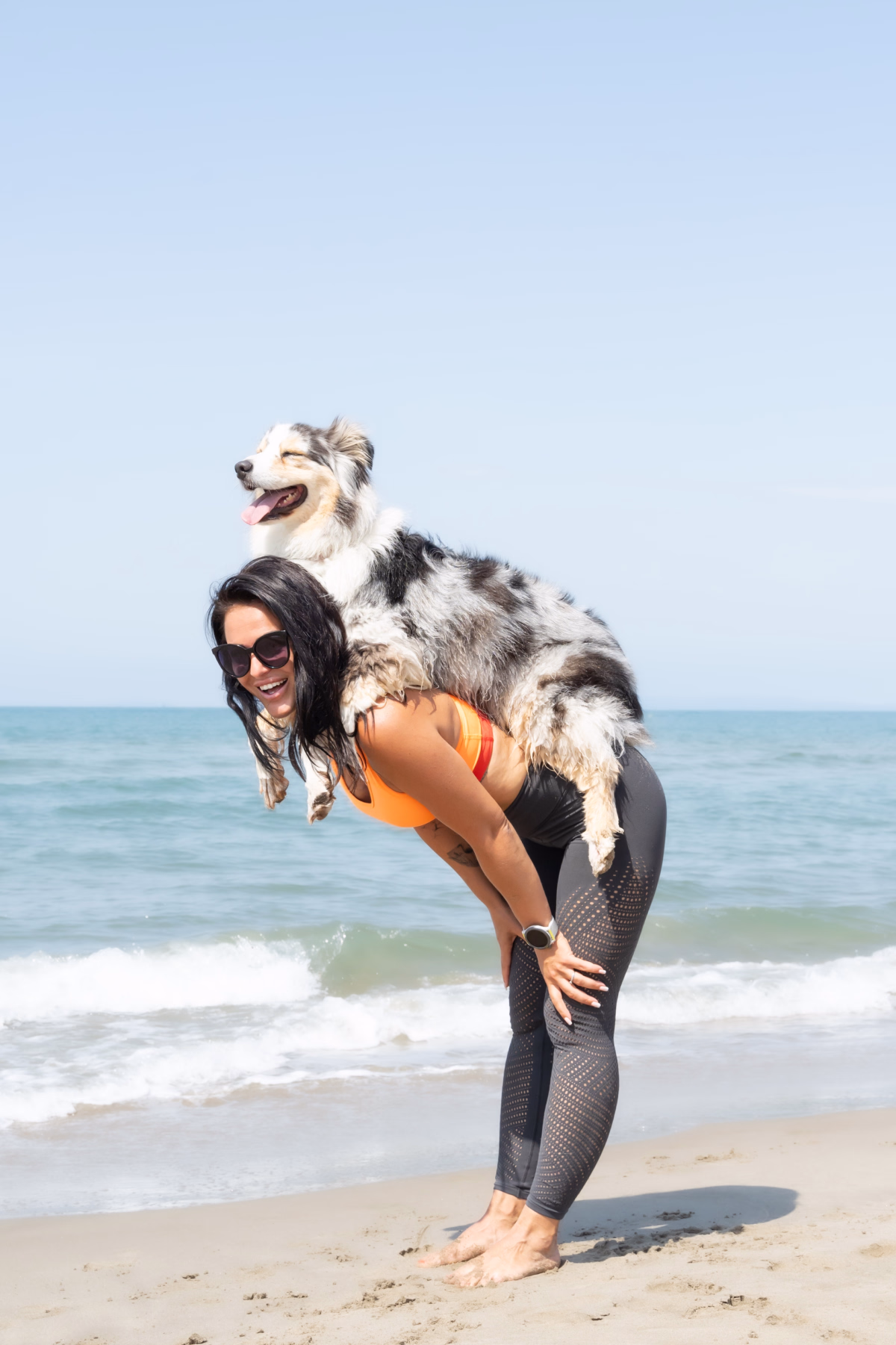 Randonnée et doga en Bretagne avec votre chien