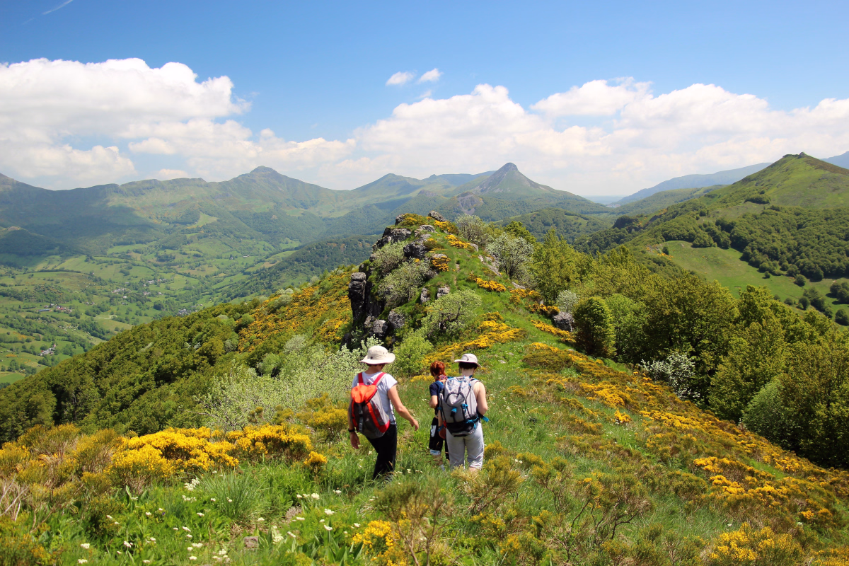 Escapades estivales au cœur du Cantal