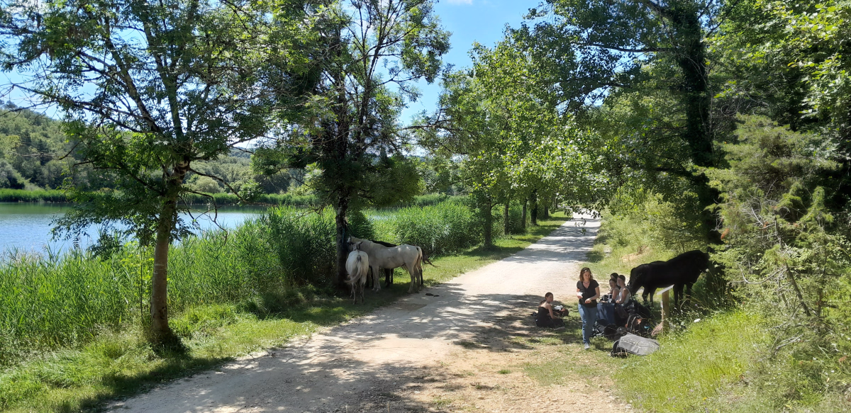 Voyage à cheval - Rando Périg\'Or : une randonnée à cheval en étoile au coeur du Périgord