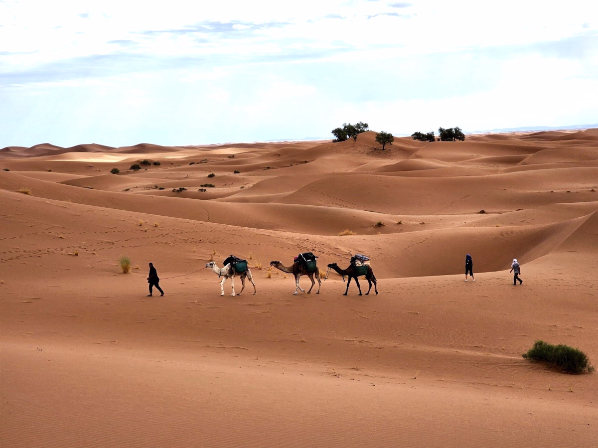 Trek - Excursion trek de 4 jours dans le désert marocain