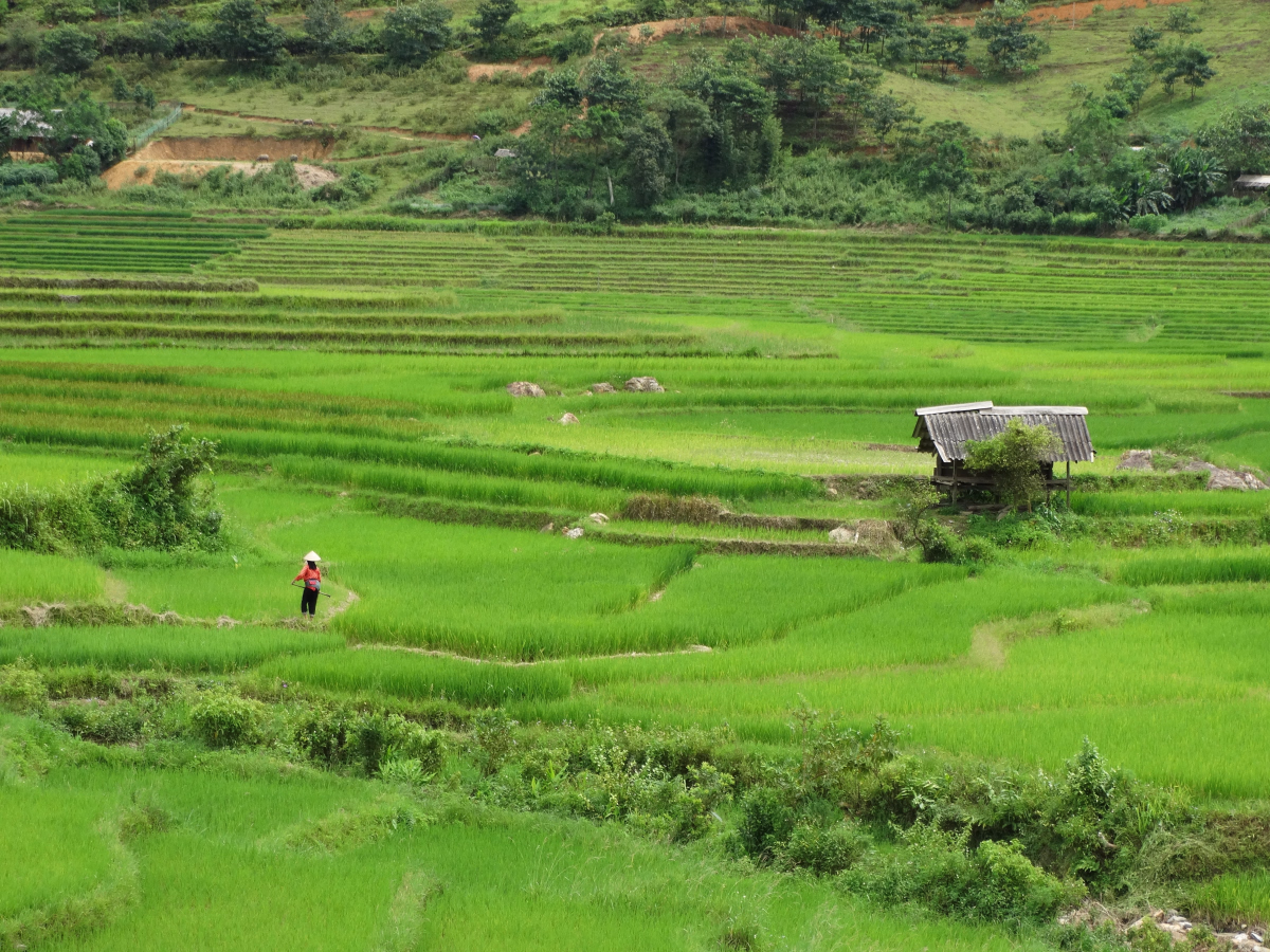 Découverte en profondeur au Vietnam