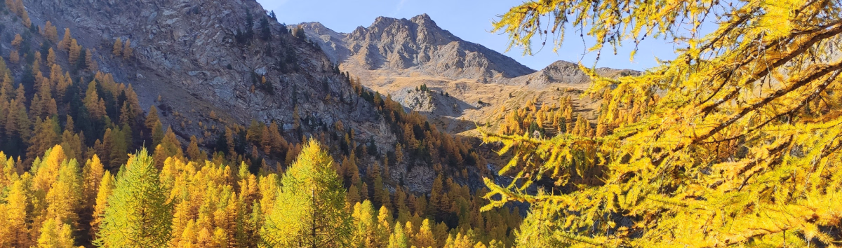 Le Queyras et ses paysages d'automne