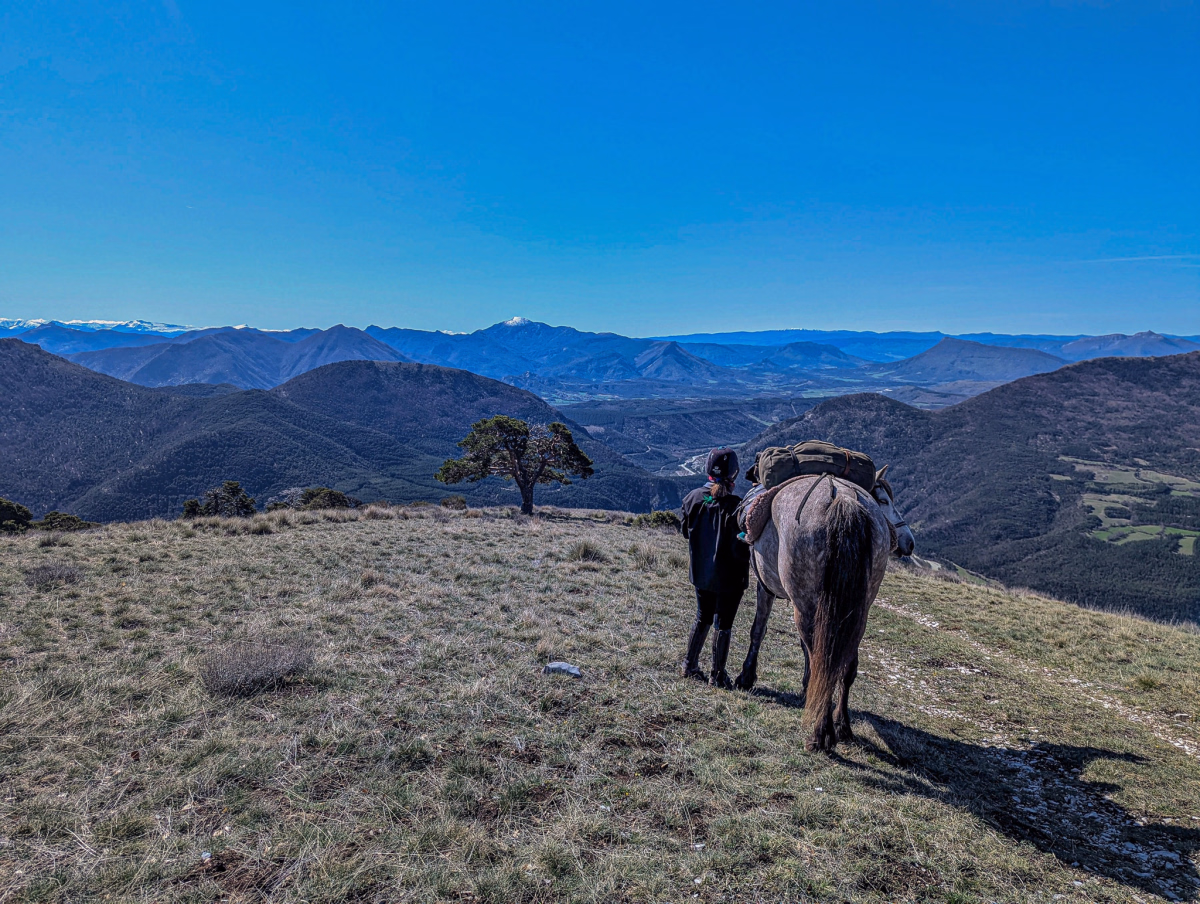 Voyage à cheval - Immersion équestre entre crêtes et forêts du Buëch