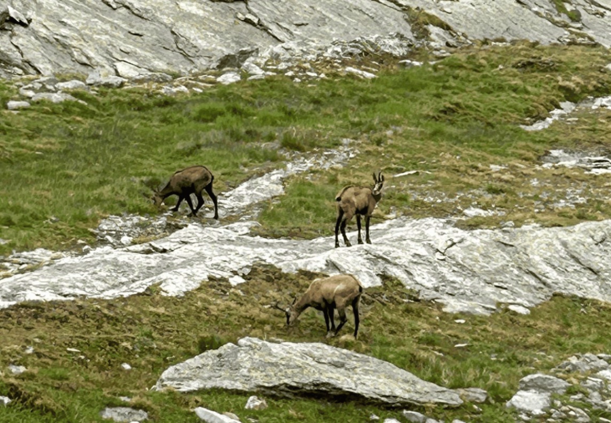 Week-end randonnée : mon premier 3000 en Vanoise