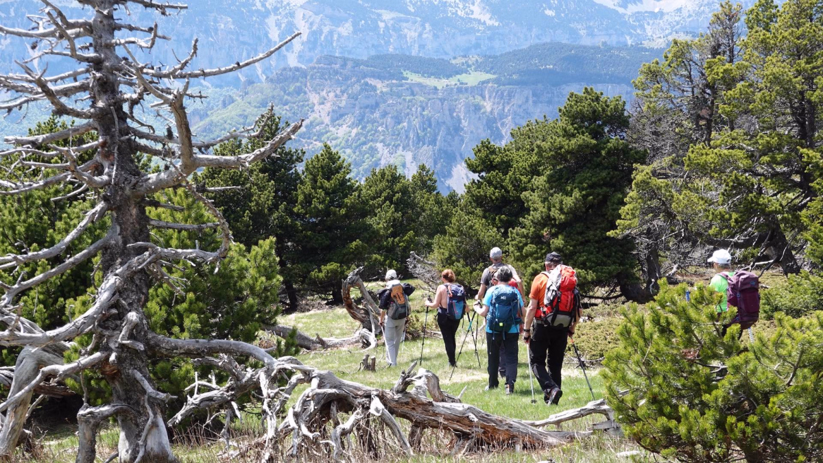 Randos dans les plus beaux sites du Vercors Sud