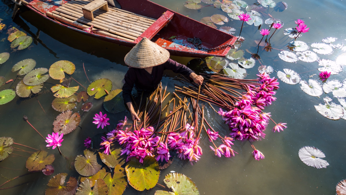 Le Vietnam, entre traditions et nature