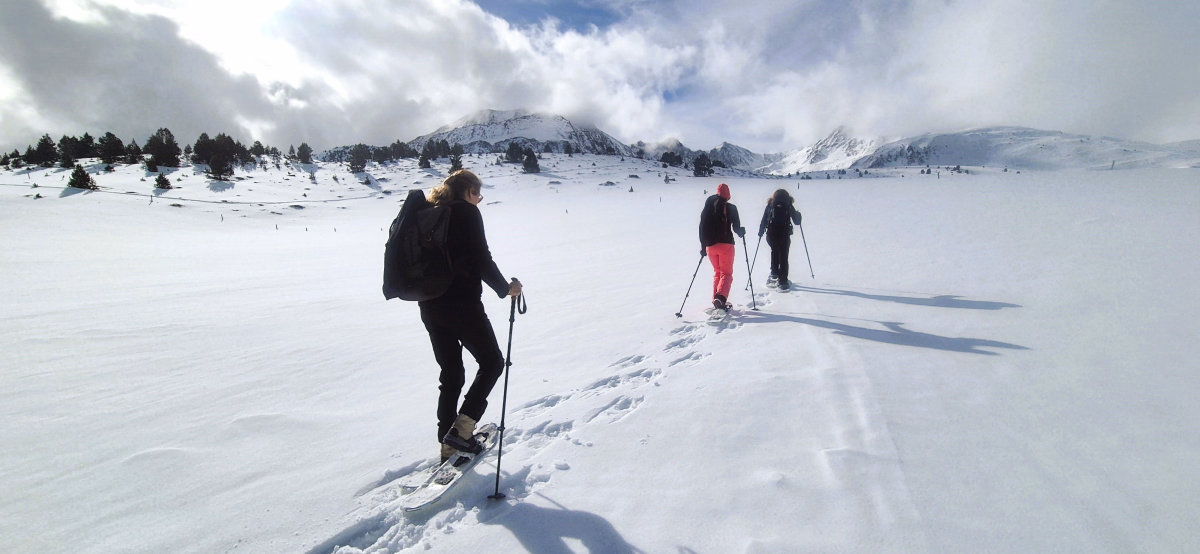 Escapade hivernale en raquettes au pays de l'ours