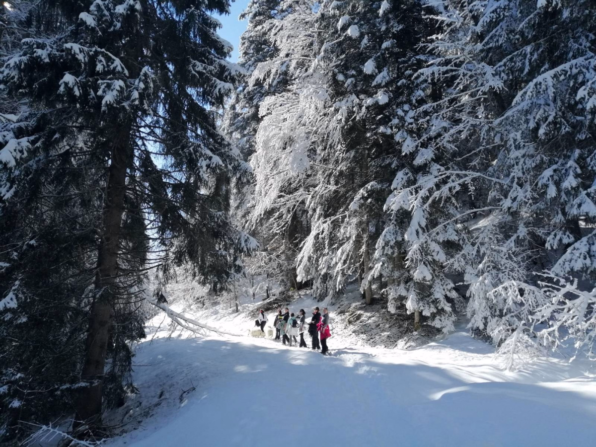 Séjour nature marche en raquettes et bien être