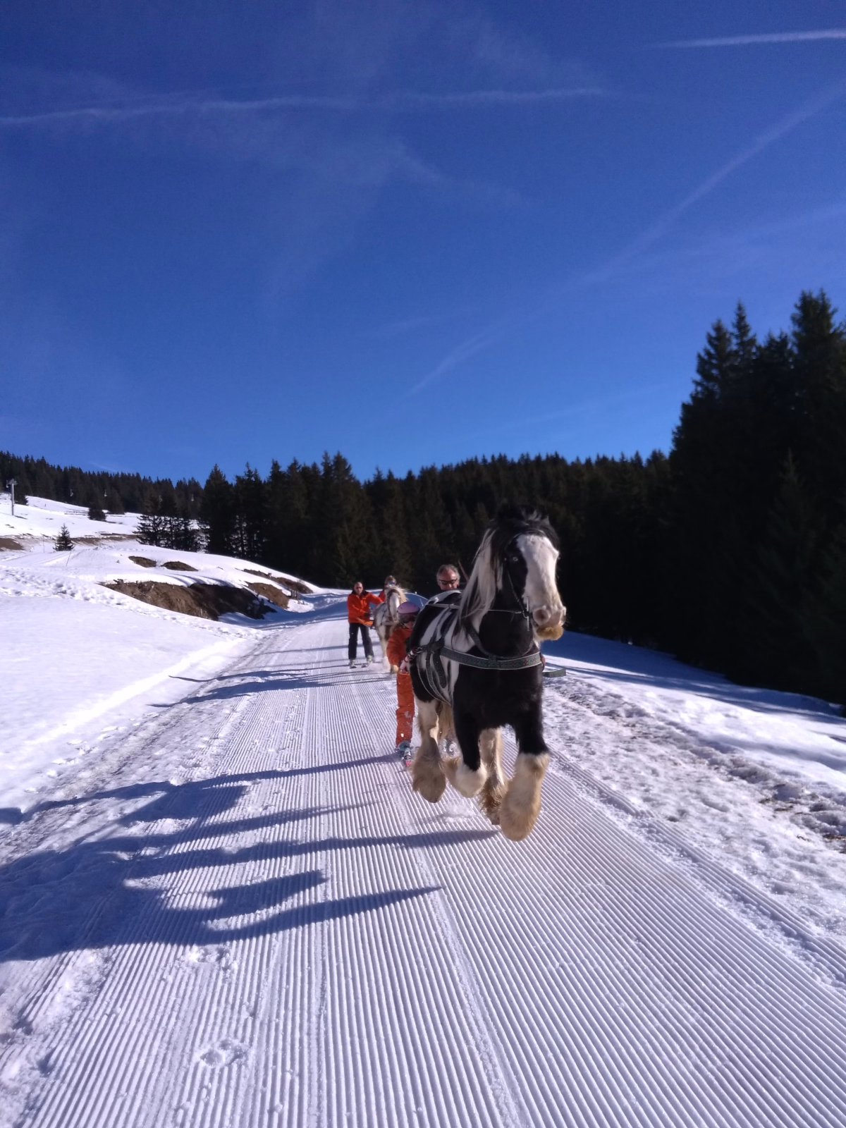 L'évasion Ski Joëring pour un week end de 3 jours