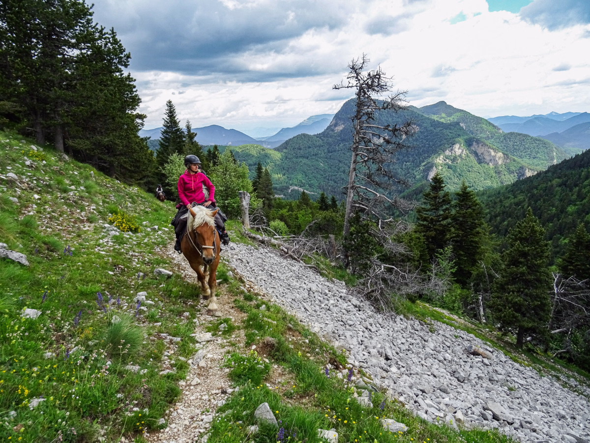 Voyage à cheval - Randonnée à cheval au cœur du Bochaine et nuit en cabane