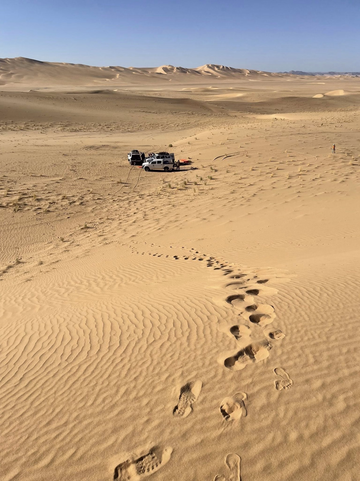 Randonnée et yoga au cœur des dunes du Sahara