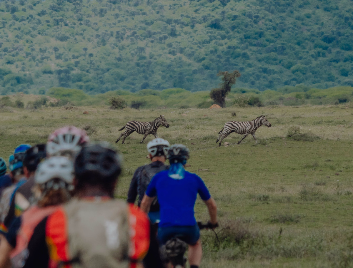 Voyage à vélo - Tour du Kilimandjaro en VTT