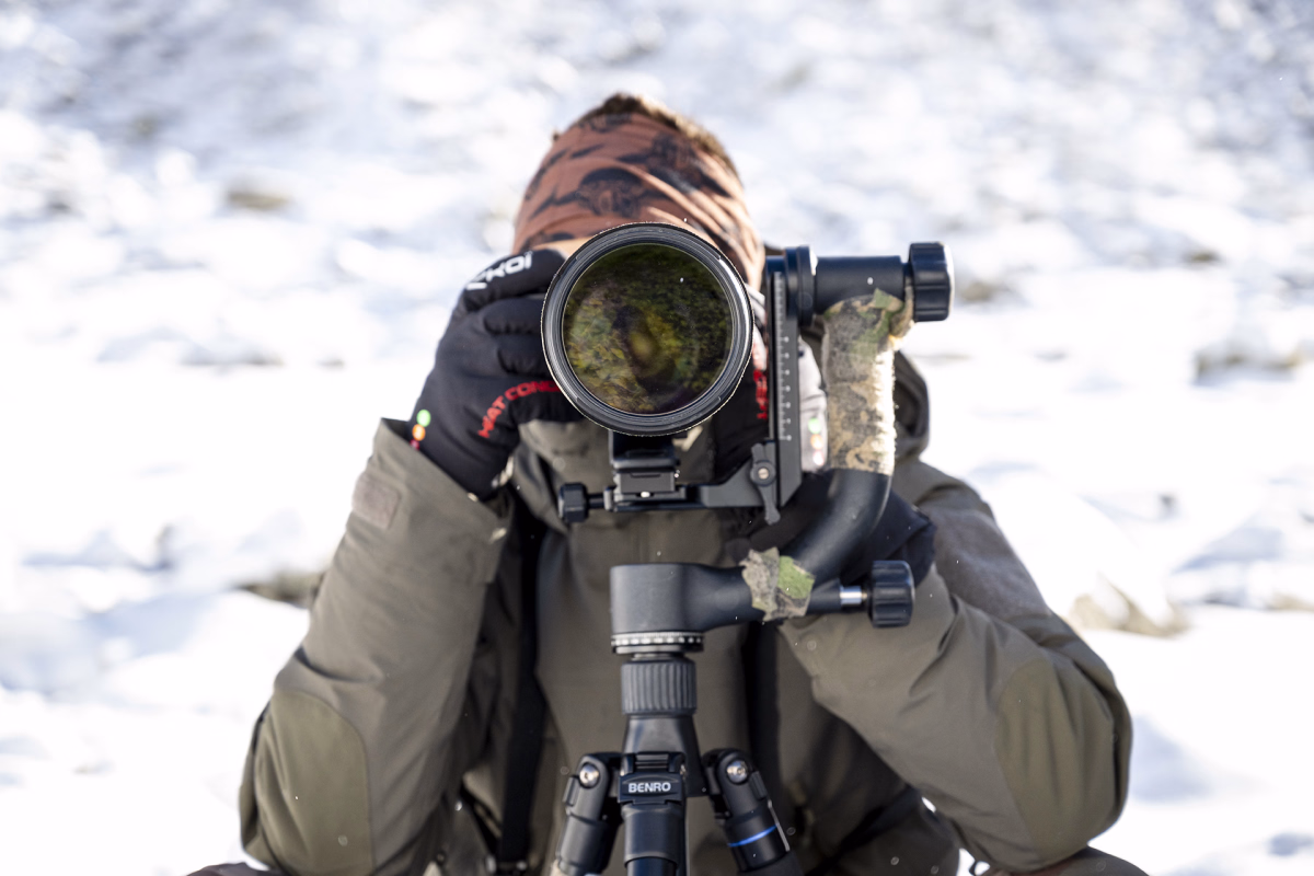 Séjour hivernal : photographie de la faune dans la vallée de Cauterets