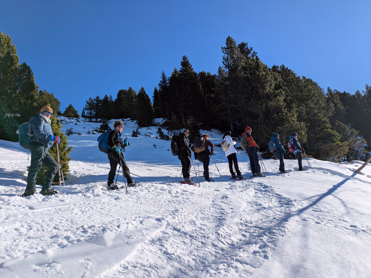 Réveillon raquettes en étoile dans les Pyrénées