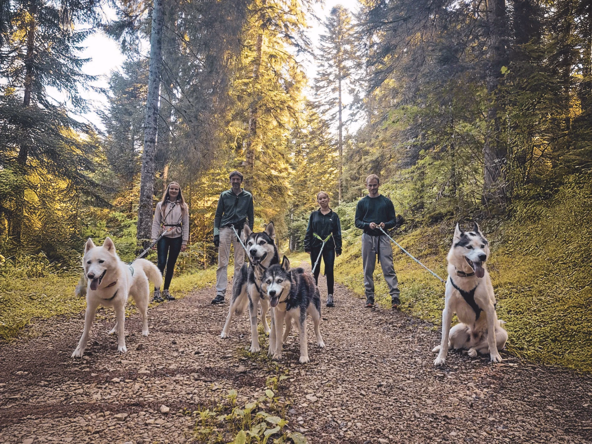Randonnée itinérante et cani-rando dans le Haut-Jura sauvage