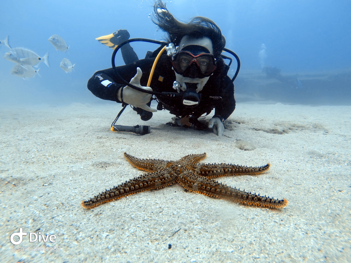 Certification plongée Open Water à Lanzarote