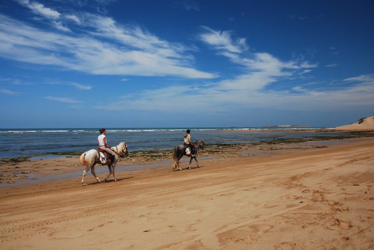 Randonnée équestre et bivouac sur les côtes marocaines