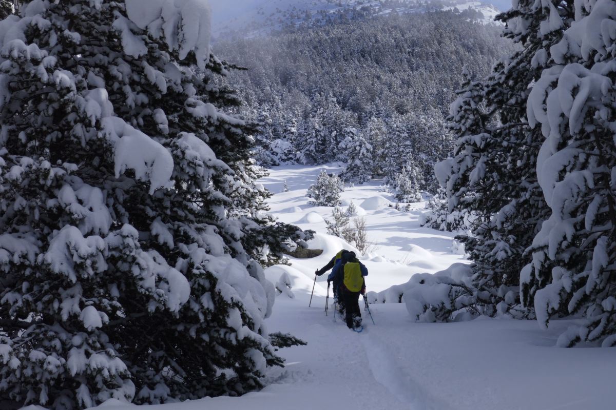 Raquettes et bien-être au cœur des vallées enneigées d'Andorre