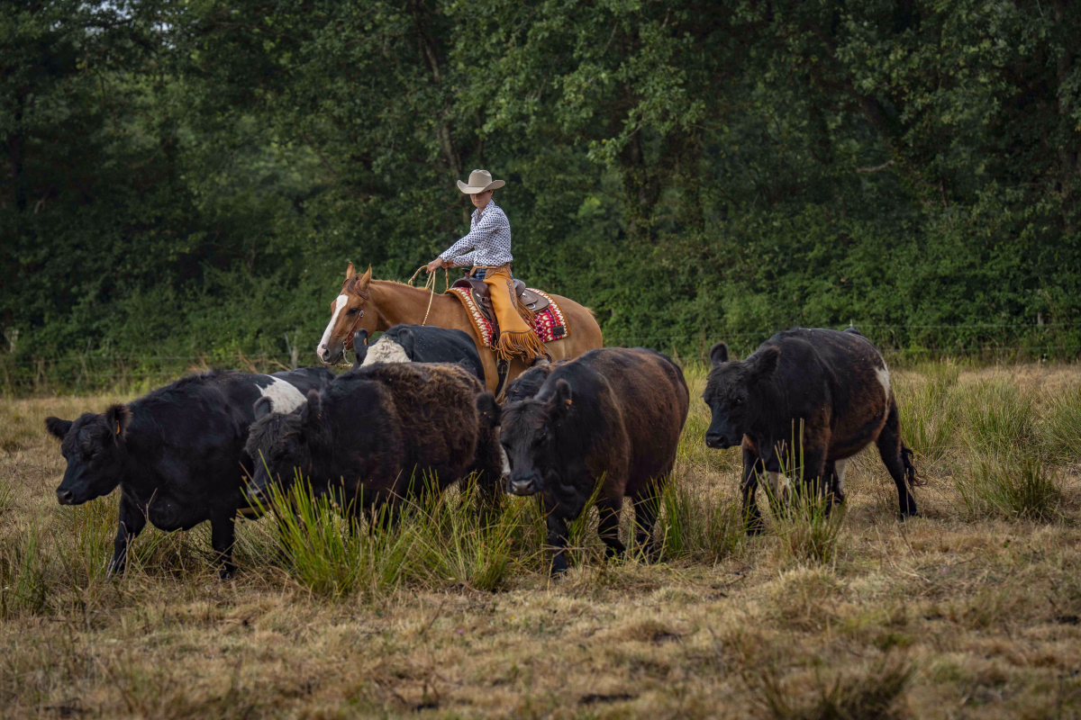 Un week-end chez les Cow-girls