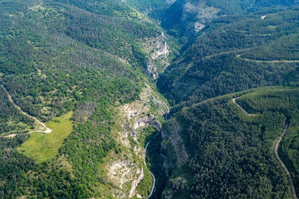 Rando, Jeûne Hydrique et Nature dans les forêts préservées du Buëch