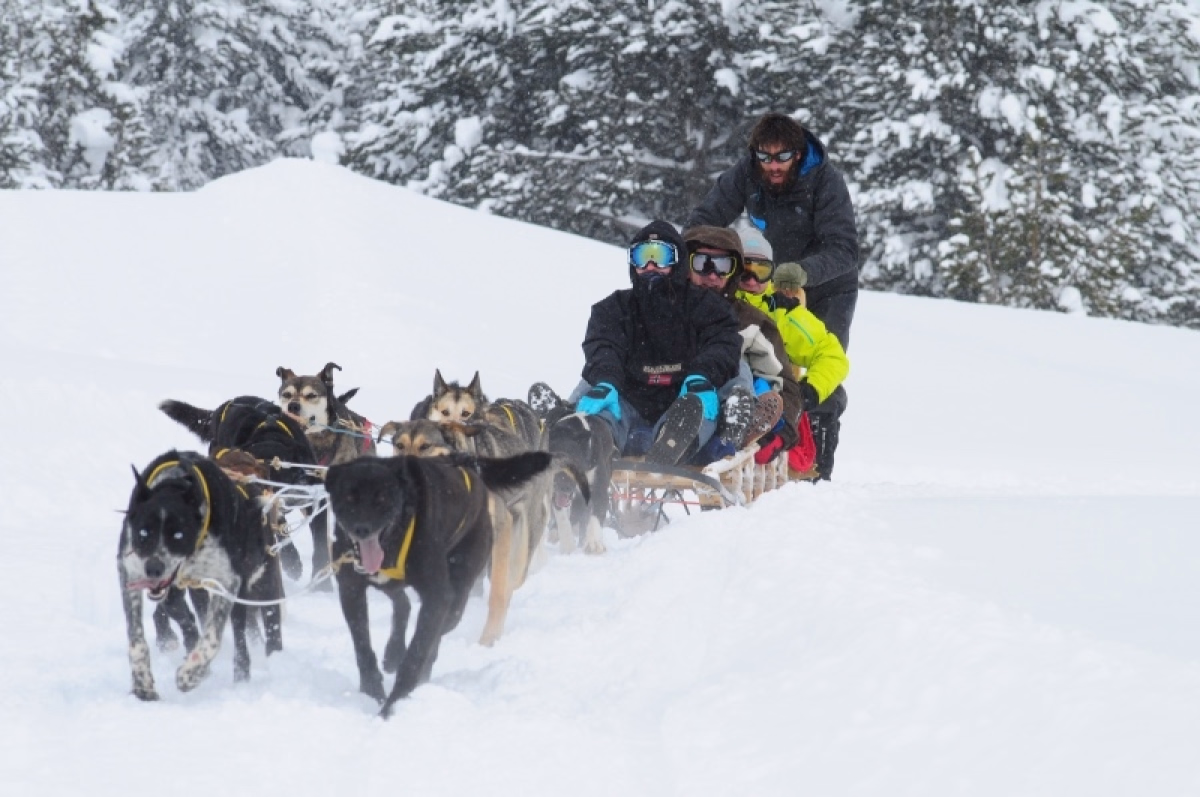Aventure d'hiver au Val d'Aran : raquettes et chien de traîneau