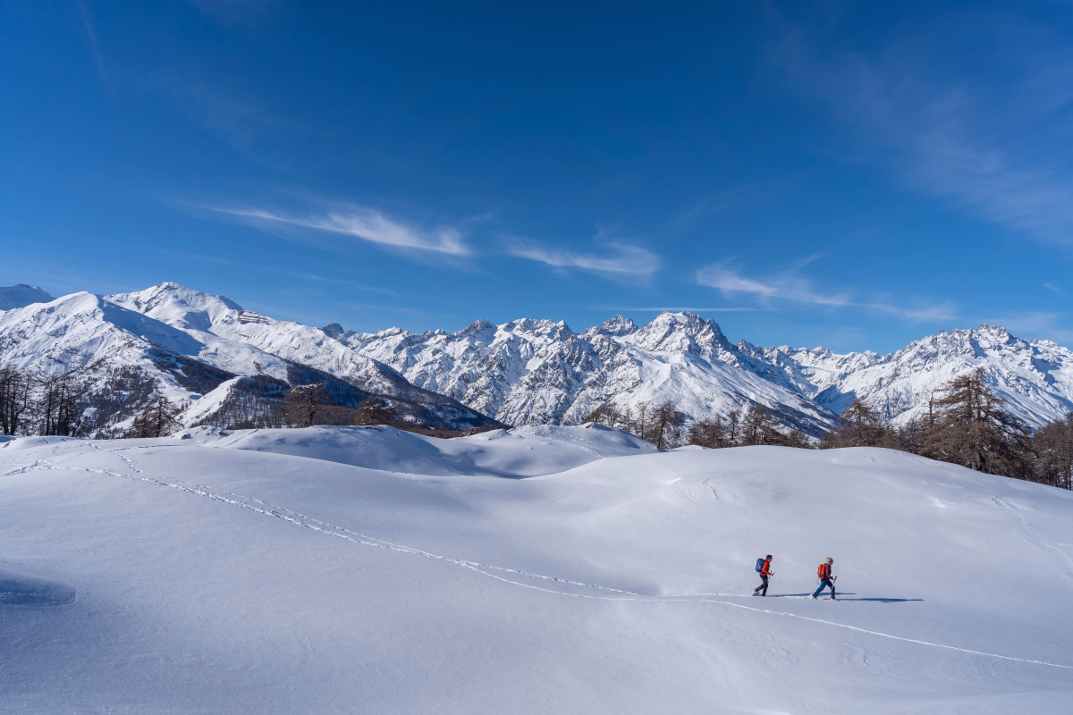 En raquettes à pas de loup dans les Écrins