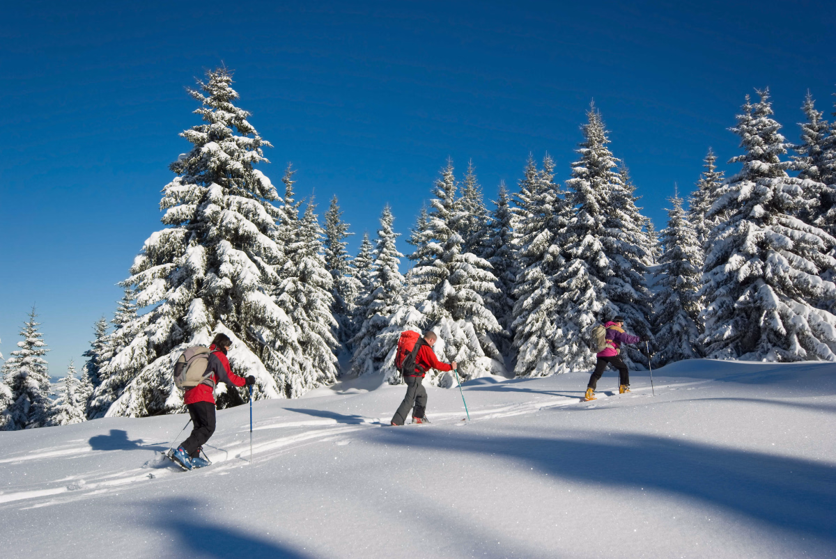 Réveillon raquettes et cocooning dans le Vercors