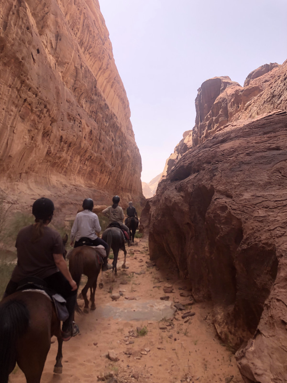 Voyage à cheval - Randonnée à cheval au coeur de la Jordanie - Spécial Réveillon