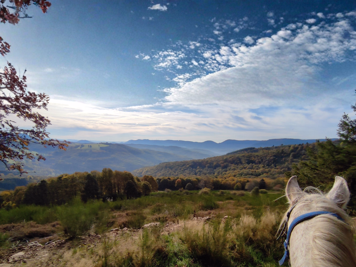 Voyage à cheval - Randonnée équestre panoramique dans le massif vosgien