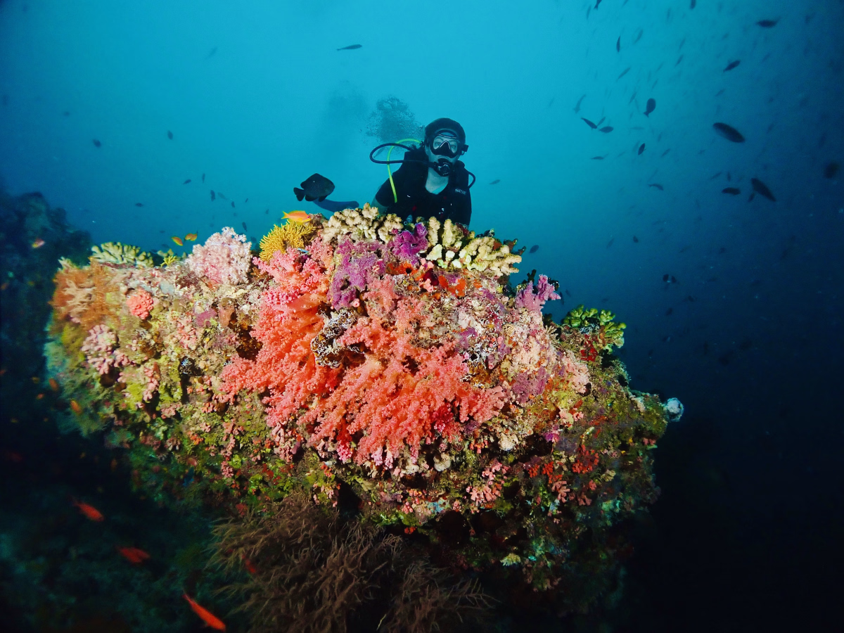 Trek - Progressez en plongée avec le PADI Advanced aux Maldives