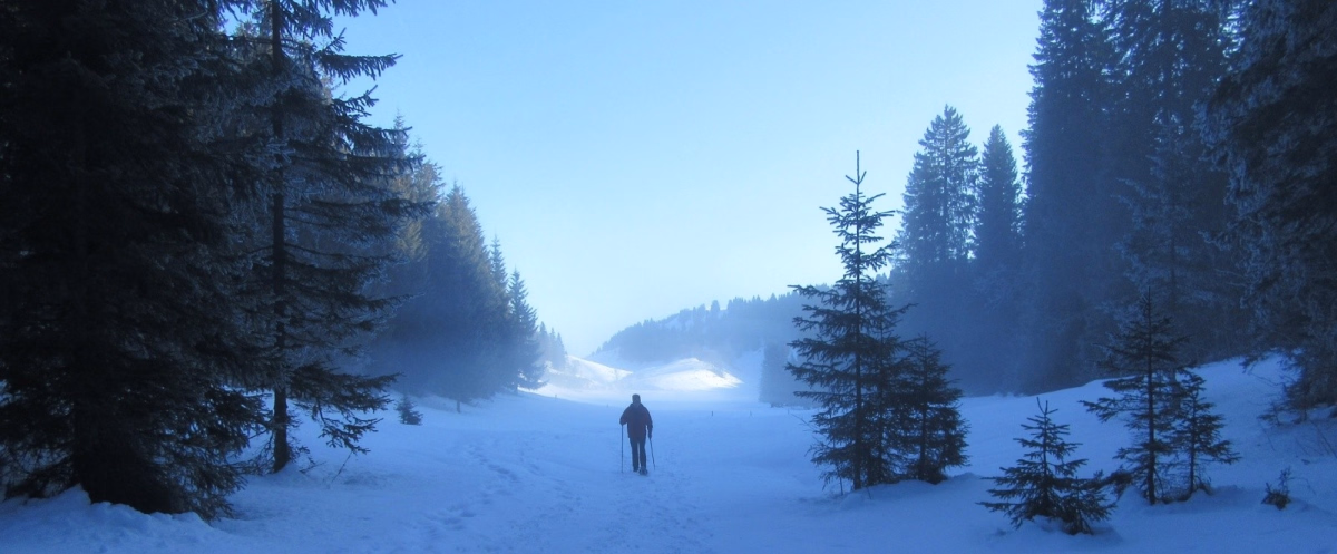 Randonnée en raquettes dans les Hautes Combes du Jura
