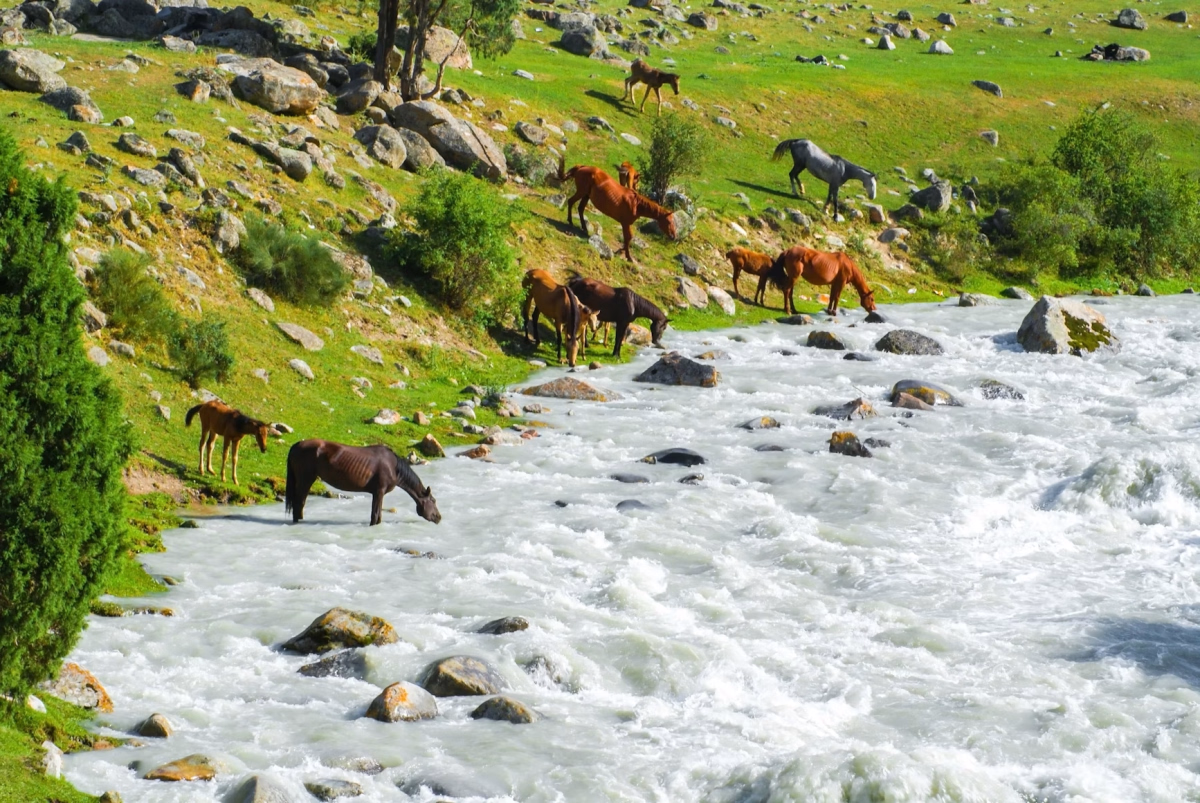 Voyage à cheval - Merveilles du Kirghizistan