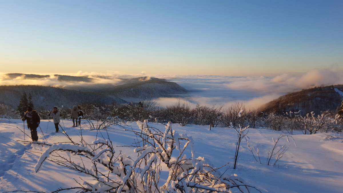 Randonnées hivernales entre Vosges et Alsace