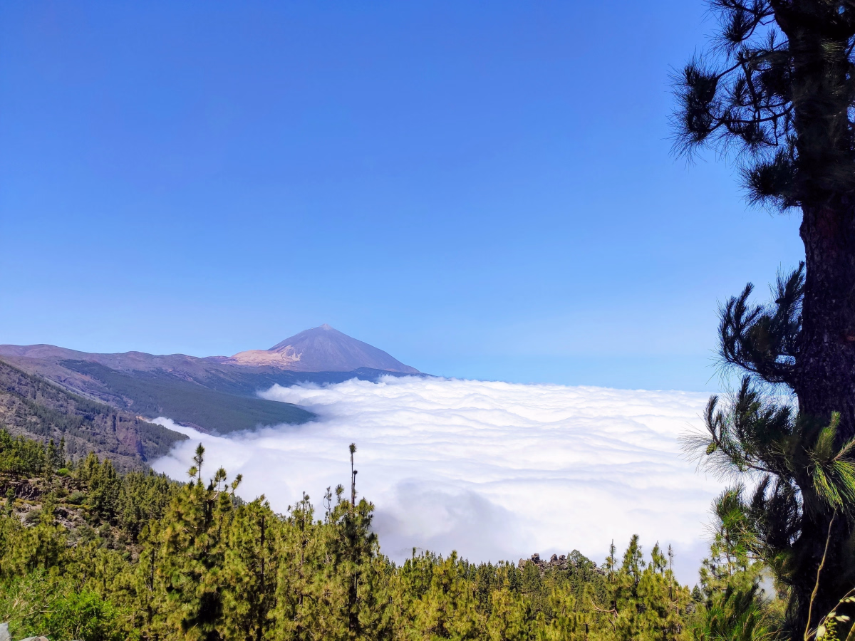 Trekking au cœur du massif de Teno et du Teide à Tenerife