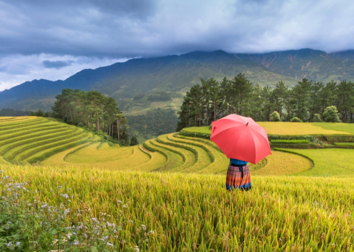 Randonnée et culture dans le Nord du Vietnam - 10 Jours
