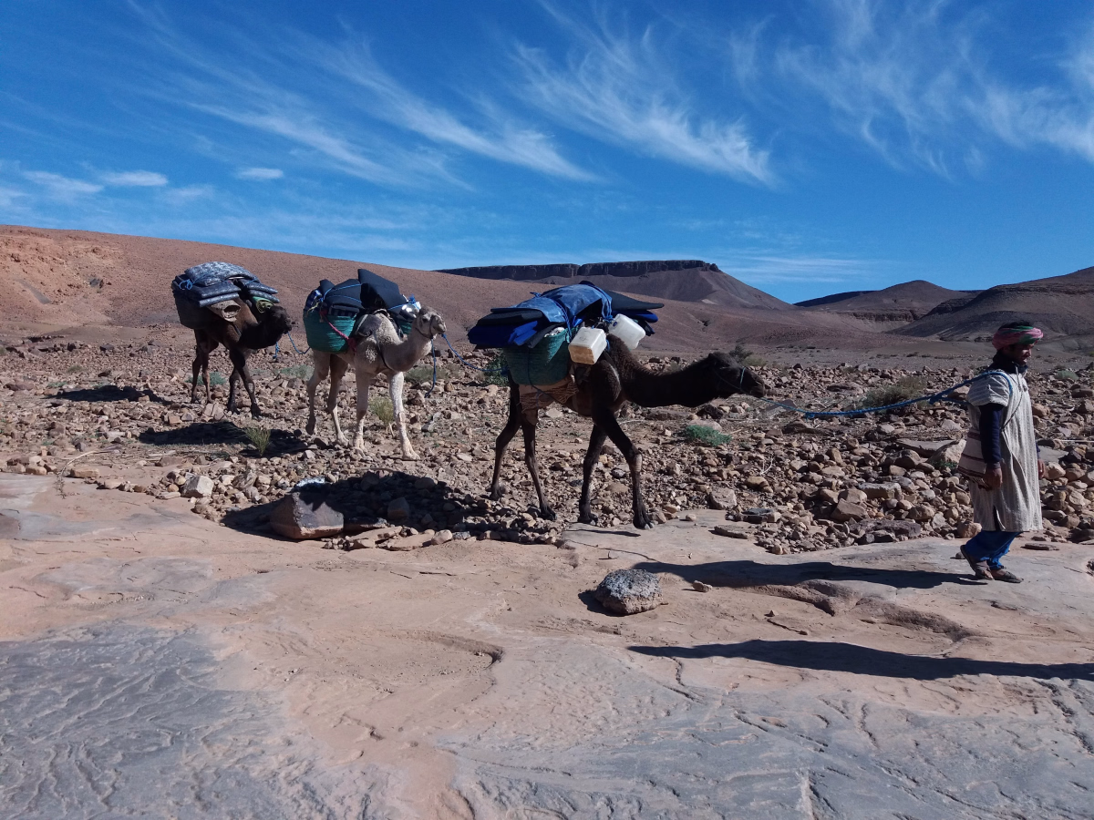 Trek - Sur les traces des Nomades : trek de 8 jours dans le Sahara