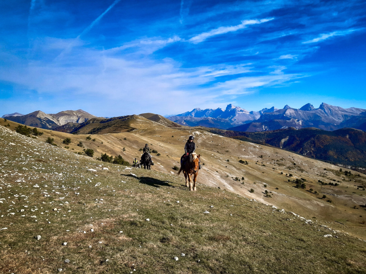 Voyage à cheval - Immersion équestre sur les crêtes de Montbrand