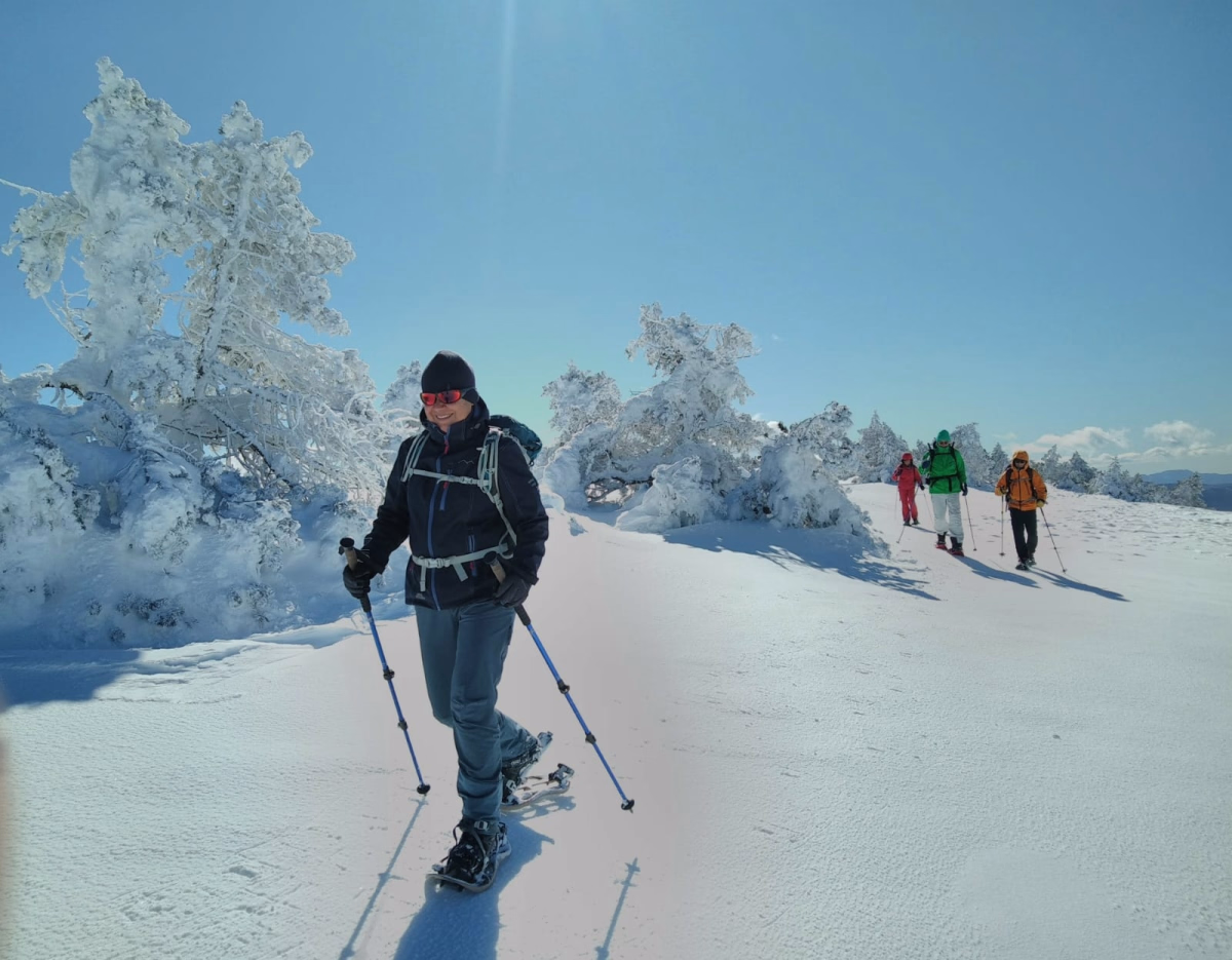 Immersion hivernale en raquettes sur le Mont Lozère
