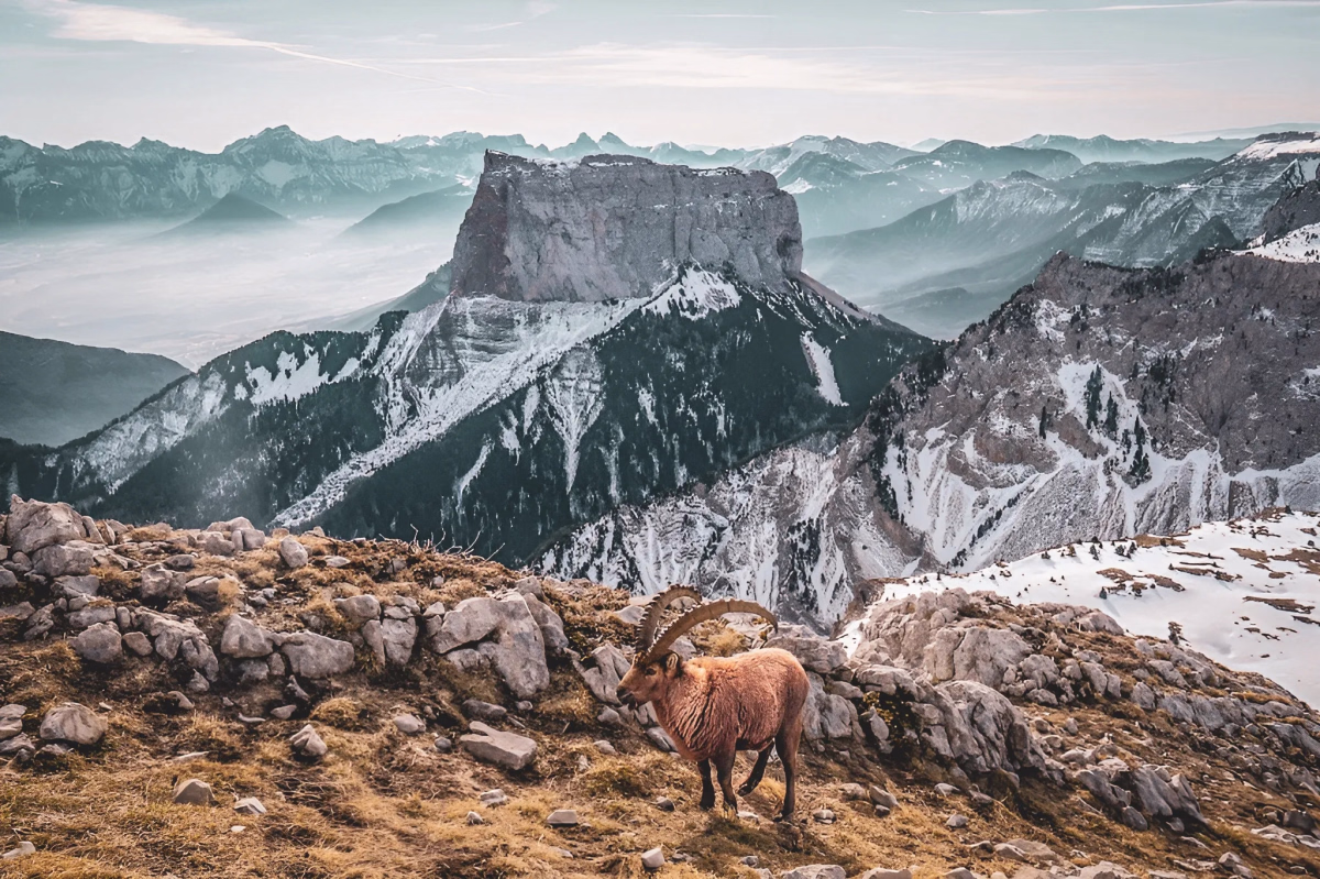 Voyage en Haute Montagne - Premiers pas en alpinisme jusqu\'au sommet du Mont Aiguille