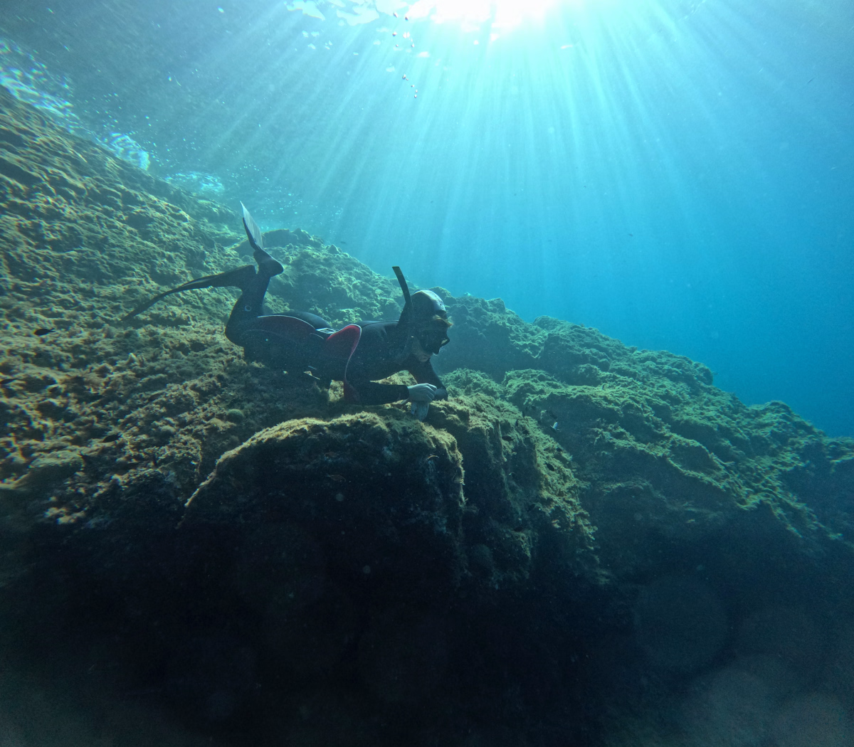 Stage d'apnée à Porquerolles pour gagner en aisance sous l'eau