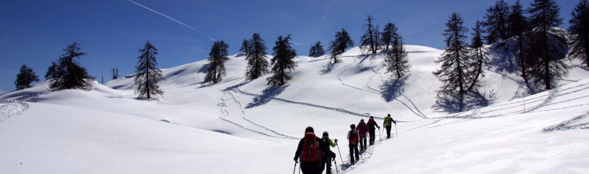 Raquettes et bien-être dans les Ecrins